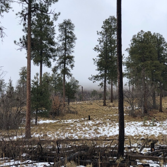 Meet the Posher!! :) - Picture 5 of 6